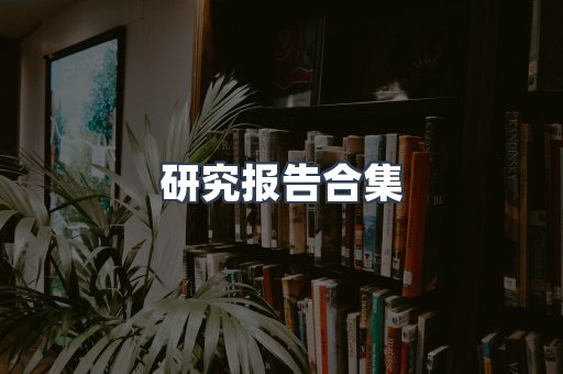 研究报告合集